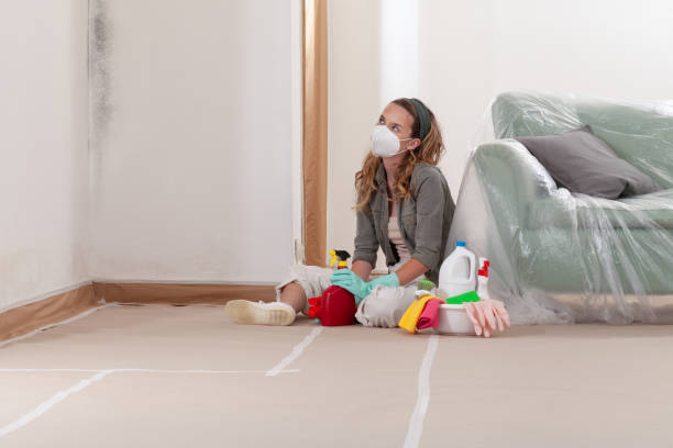 Reliable Mold Remediation contractor in Dendron, VA by Mold Remediation HQ